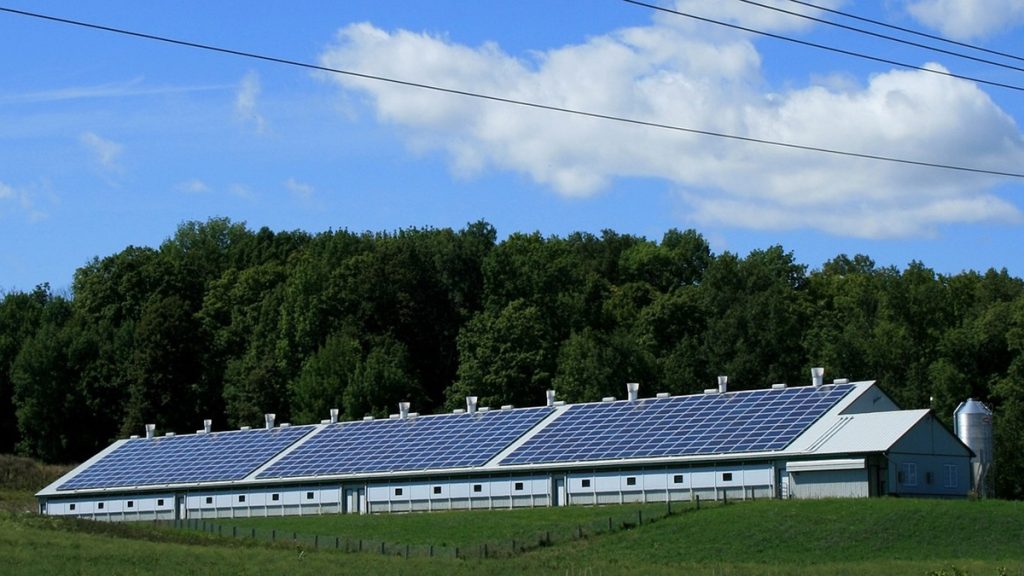 des panneaux photovoltaïques sur une exploitation agricole