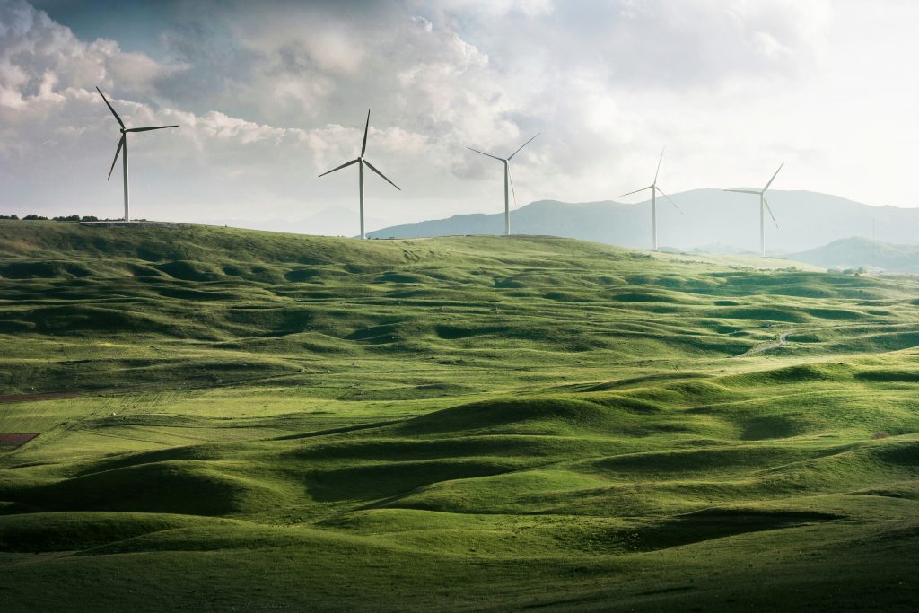 Un champ de production d’energie eolienne