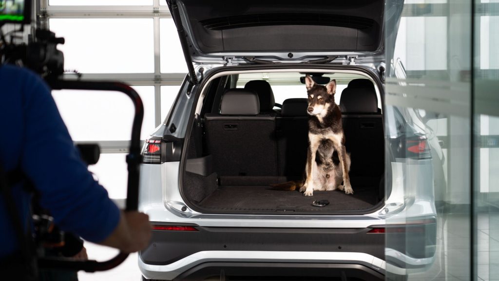 SUV Volkswagen Tayron sur route, pensé pour familles, enfants et chiens avec un grand espace à bord