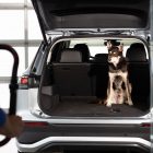 Volkswagen Tayron : le nouveau SUV familial 7 places débarque en force