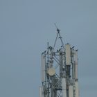 Nokia renforce le réseau IP backhaul de Vodafone Idea pour une connectivité 4G et 5G optimale  