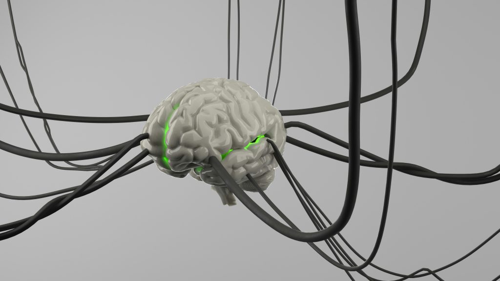 Cerveau virtuel relié à des câbles illustrant la simulation IRM et les modélisations neurologiques