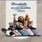 Journée mondiale du chat et du chien : célébrez avec Airplum !